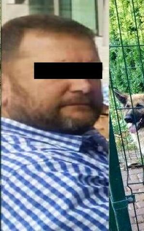 Artur G., który uprowadził dziecko Agnieszce Potapińskiej z Dębna (województwo zachodniopomorskie) niemal zagłodził własne psy! Interweniowały służby, bo jego owczarki niemieckie mogły zdechnąć we własnych odchodach!