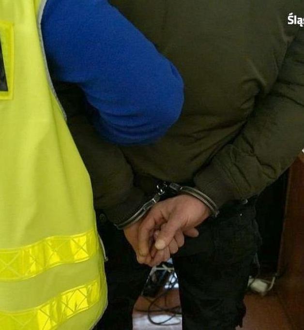 Za napady na policjantów trafili do aresztu