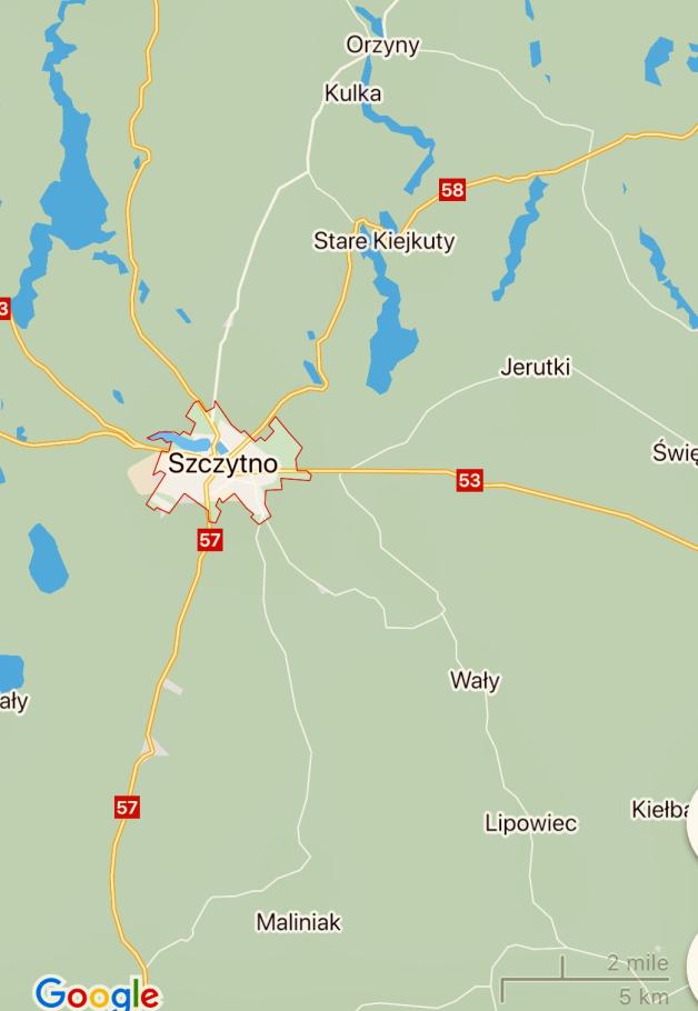 Wywieźli 15-latkę do lasu. Grozili jej, upokarzali I wszystko nagrywali telefonem